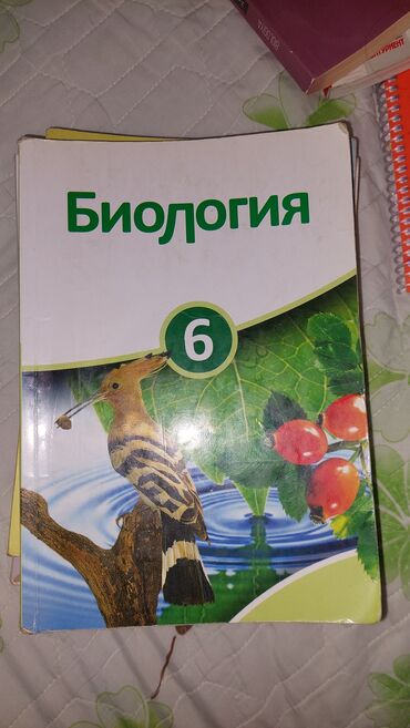 мсо по азербайджанскому языку 2 класс: Биология 6 klass