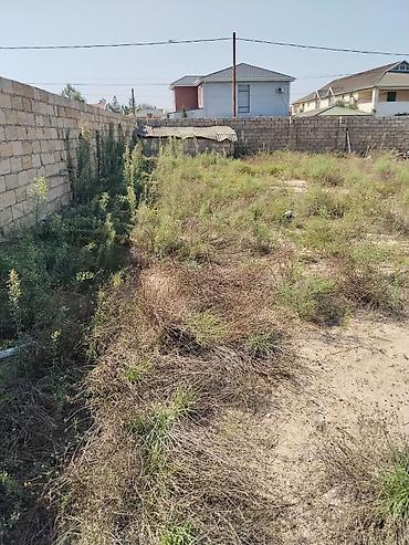 Torpaq sahələrinin satışı: 6 sot, Tikinti, Barter mümkündür — 7