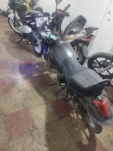idman velosipedi type 1: - Champ, 80 sm3, 2024 il, 13000 km — 2