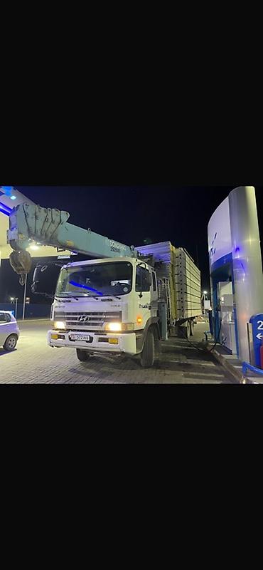 Стрела 21 м, 8000 т, Борт 15000 кг