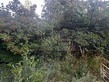 Продажа коттеджей и домов: Продается ДОМ с САУНОЙ НА ИССЫК-КУЛЕ БУЛАН-СОГОТУУ(комсомол)(НА ПРОТИВ — 6