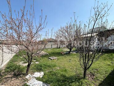 Продажа квартир: 5 соток, Красная книга