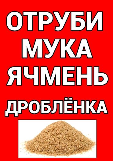 гепарин цена бишкек: Продаю корма зерно дробленка отруби 14.50с ячмень дробленый местный