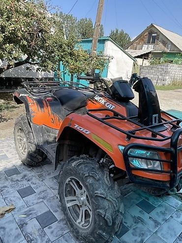 муравей с кобиной: Квадроцикл Бензин, 700 куб. см, Взрослый — 3