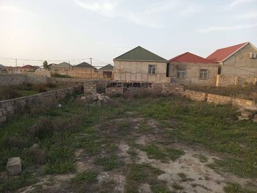 3 sot, Tikinti, Kupça (Çıxarış)