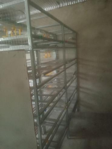 yarasa yuvasi aliram: Sənaye tipli quşçuluq qəfəs sistemi - Material: sinklənmiş metal — 1