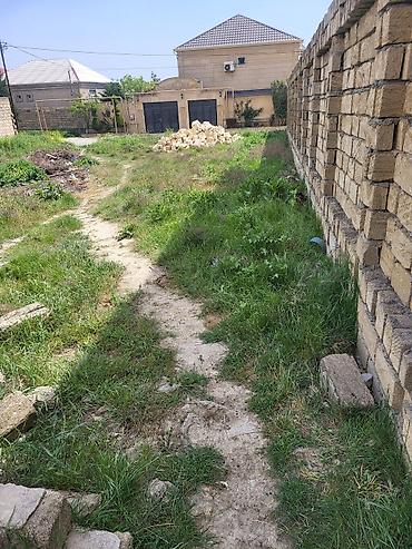 mahrasa bagi gence: 6 sot, Kənd təsərrüfatı, Mülkiyyətçi, Bələdiyyə — 8