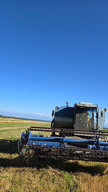 степ эреф 1: Комбайн зерноуборочный Енисей 1200-1НМ (Красноярск) - Полноценный — 1
