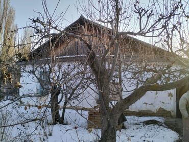сниму дом ак ордо: Дача, 31 кв. м, 3 бөлмө, Менчик ээси, Эски ремонт