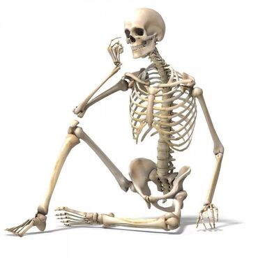 Массаж: Массаж | Остеохондроз, Межпозвоночная грыжа, Протрузия | С выездом на дом, Консультация — 21