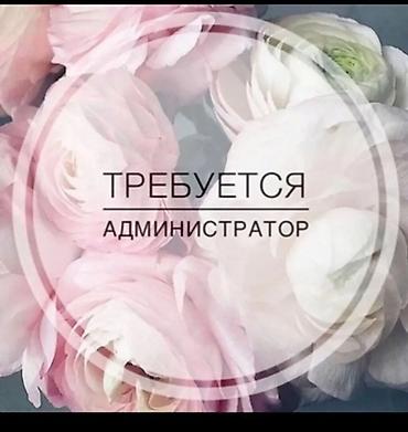 Администраторы: Администратор — 1