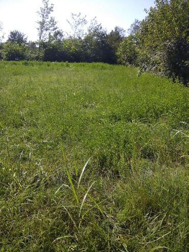 Torpaq sahələrinin satışı: 20 sot, Tikinti, Mülkiyyətçi, Kupça (Çıxarış) — 1