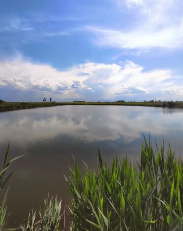 Продажа участков: 600 соток, Для бизнеса, Красная книга — 3