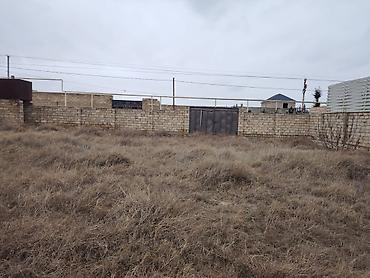 Torpaq: 12 sot, Tikinti, Mülkiyyətçi, Kupça (Çıxarış) — 1