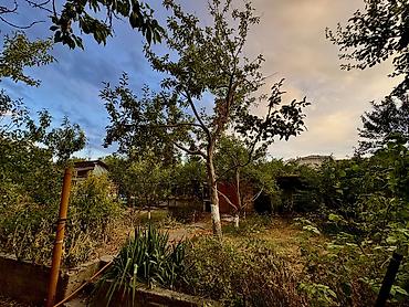 Продажа домов: Дача, 40 м², 3 комнаты, Собственник, Косметический ремонт — 5