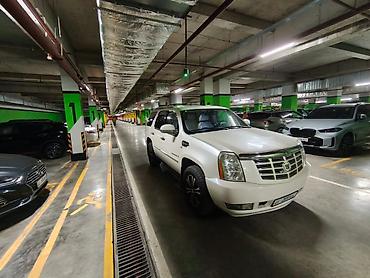 Cadillac: Cadillac Escalade: 2008 г., 6.2 л, Автомат, Газ, Внедорожник — 3