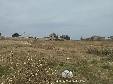 sarayda torpag: 9 sot, Tikinti, Maklerlər narahat etməsin, Kupça (Çıxarış) — 4