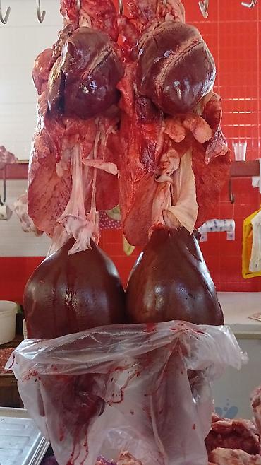 Свиньи: Продаю | Свинья (самка) | На забой — 15