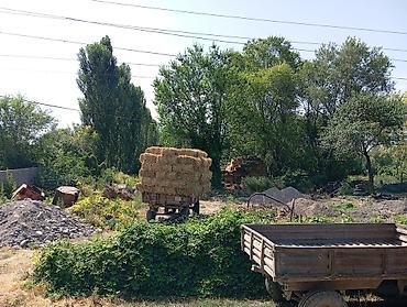 Продажа участков: 23 соток, Для строительства, Красная книга — 3