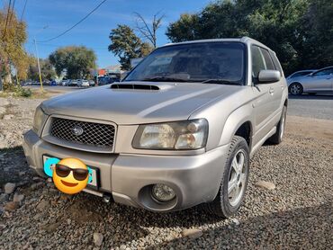 аутбек машина: Subaru Forester: 2005 г., 2 л, Автомат, Бензин, Универсал