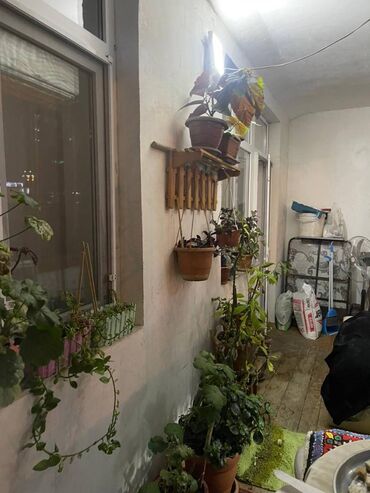 Köhnə tikili: Bakı, 4 otaqlı, Köhnə tikili, m. Həzi Aslanov, 100 kv. m -da lalafo.az — 14 Köhnə tikili: Bakı, 4 otaqlı, Köhnə tikili, m. Həzi Aslanov, 100 kv. m — 14