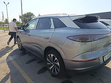 bid e2: BYD Sea Lion 06: 2025 г., 2.5 л, Автомат, Электромобиль, Кроссовер — 6