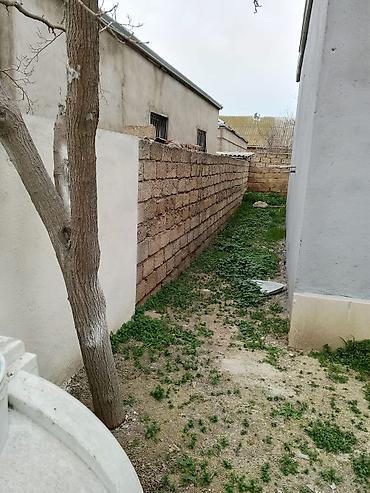 bine salxoz: 3 otaqlı, 100 kv. m, Kredit yoxdur, Yeni təmirli — 4