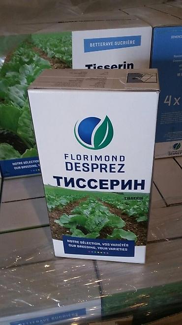 Люцерна: Продаю/куплю семена люцерны и свеклы — 18