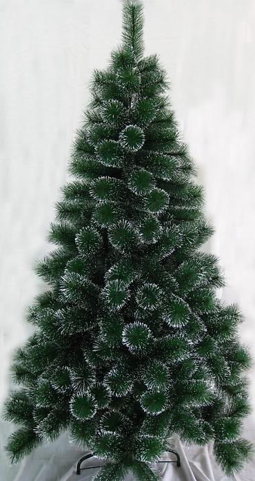 şam ağacı satışı: Sifarisle eve getiririk Çatdırılma pulsuz whatsapp aktivdir 🌲🌲🌲90sm — 2