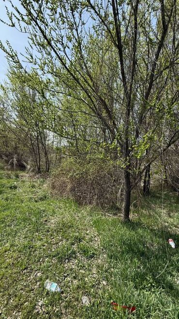 ак босог: 4 соток, Для строительства, Красная книга