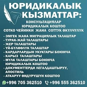 доктор робик бишкек: Юридикалык жардам керекпи? Маселеңизди толук көзөмөлгө алып — 2