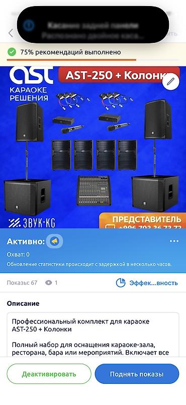 microlab 5 1: Профессиональный комплект для караоке AST-250 + Колонки Полный набор — 2