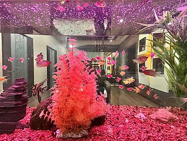 Продажа квартир: 4 комнаты, 197 м², Элитка, 5 этаж, Евроремонт — 16