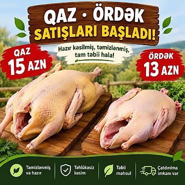 su suzən das: Qaz və ördək satışları başladı! - Hazır kəsilmiş, tam təmizlənmiş — 1