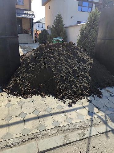черный пленка: Чернозём для газона земля для газонапочва для газона,грунт для — 2