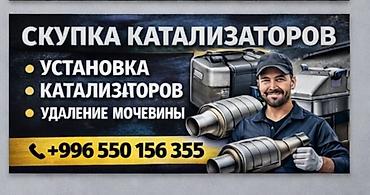 thinkdiag 2: Услуги по работе с автомобильными катализаторами: - Скупка — 1