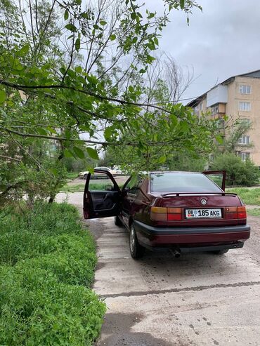 volkswagen tiguan: Volkswagen Vento: 1993 г., 2 л, Механика, Бензин, Седан