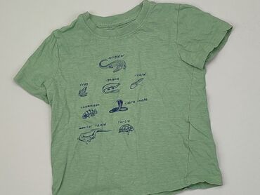 koszula zielona: Koszulka, Lupilu, 3-4 lat, 98-104 cm, stan - Dobry