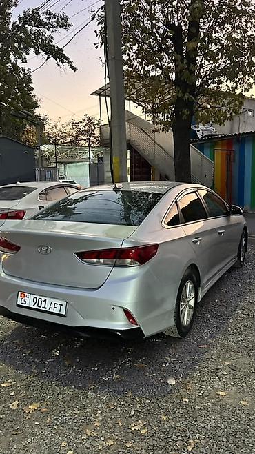 kia k: Hyundai Sonata: 2019 г., 2 л, Автомат, Газ, Седан — 6