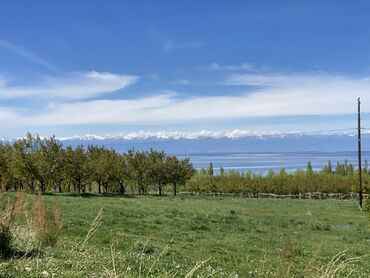 срочна прадаю дом: 65 соток, Для сельского хозяйства, Красная книга