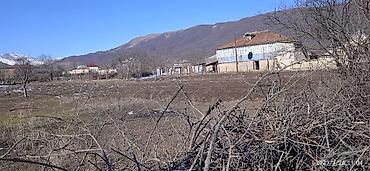 turkanda torpaq satılır: 11 sot, Kənd təsərrüfatı, Mülkiyyətçi, Kupça (Çıxarış) — 1