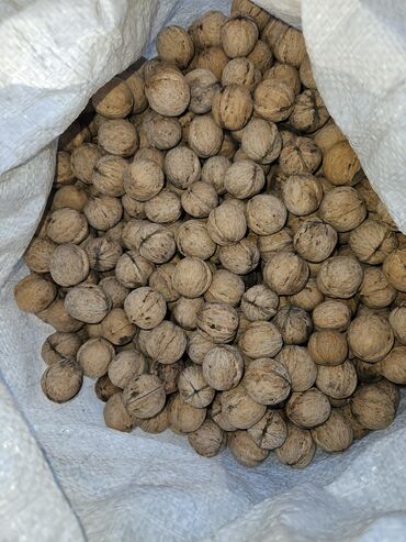 Сухофрукты, орехи, снеки: Продаю грецкие орехи 3 мешка в беловодском