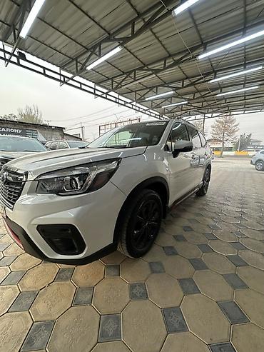 форестер кросс спорт: Subaru Forester: 2020 г., Автомат, Бензин, Кроссовер — 3