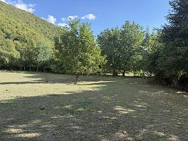 Torpaq sahələrinin satışı: 35 sot, Kənd təsərrüfatı, Mülkiyyətçi, Müqavilə — 14