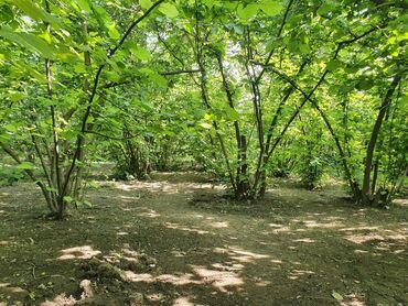 Həyət evləri və villaların satışı: 5 otaqlı, 158 kv. m, Orta təmir -da lalafo.az — 9 Həyət evləri və villaların satışı: 5 otaqlı, 158 kv. m, Orta təmir — 9