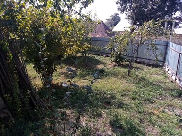 Torpaq sahələrinin satışı: 10 sot -da lalafo.az — 2 Torpaq sahələrinin satışı: 10 sot — 2