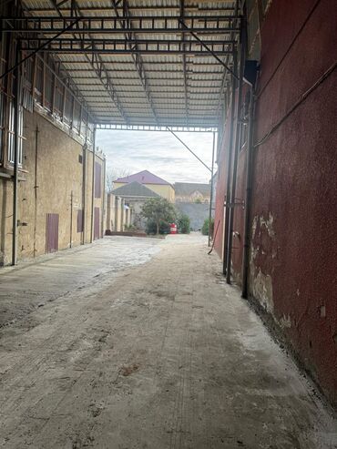 Uzunmüddətli kirayə evlər: 240 kv. m, 7 otaqlı, Kombi, Qaz, İşıq — 19