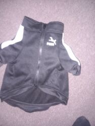 Psi: Jaknice za vaseg psa. cena za plavo zutu 1500, zuta i crna su po 500 — 11