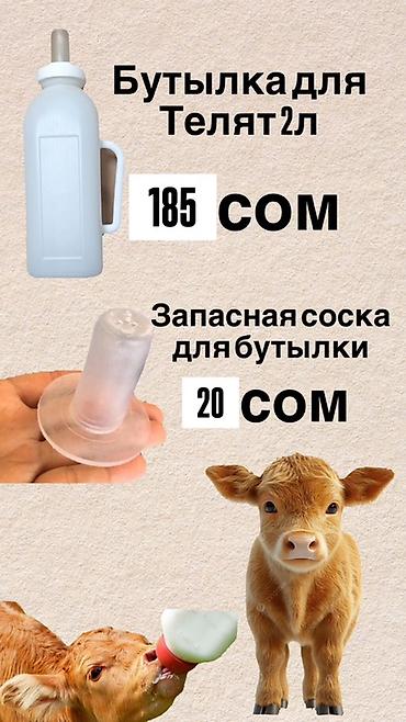 Зоотовары: Оптовый каталог: ветеринарные товары и АГРО товары Ассортимент: - — 8