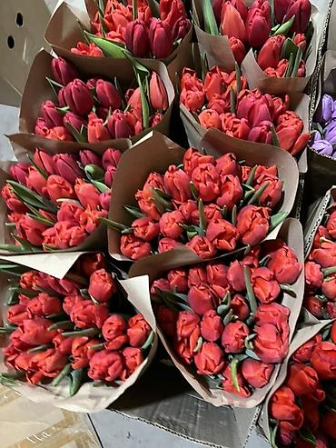 Букеты из живых цветов: Тюльпаны - Сорт: нежно-розовые тюльпаны с мягкой желтой каймой на — 17